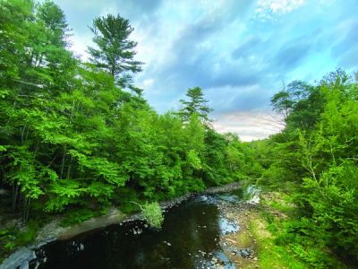 Connecticut State Police Botch Communication With Families of Campville Murder Victims