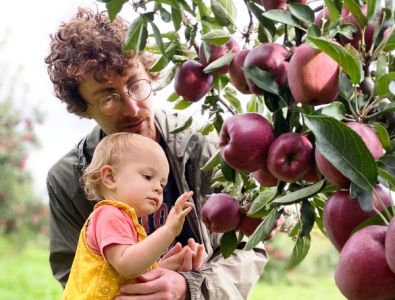 It’s Apple Picking Time In New England